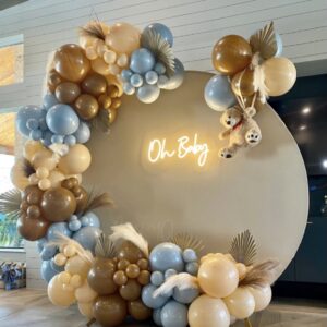 Balloon Arch and Garlands