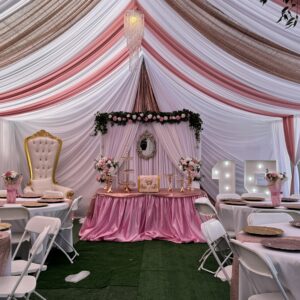 20x30 Butterfly Style Draped Tent